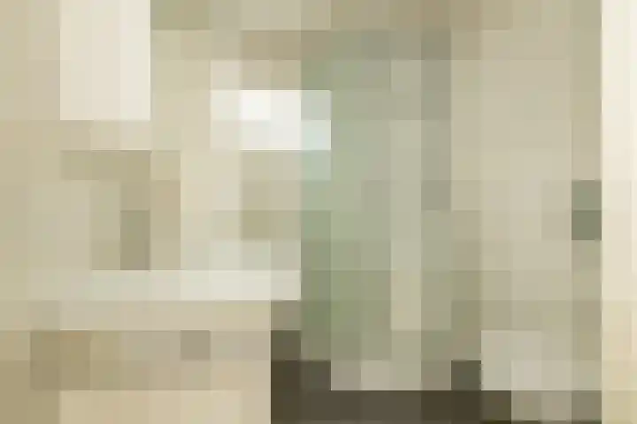Roelsplantsoen 1 Wateringen thumbnail 19