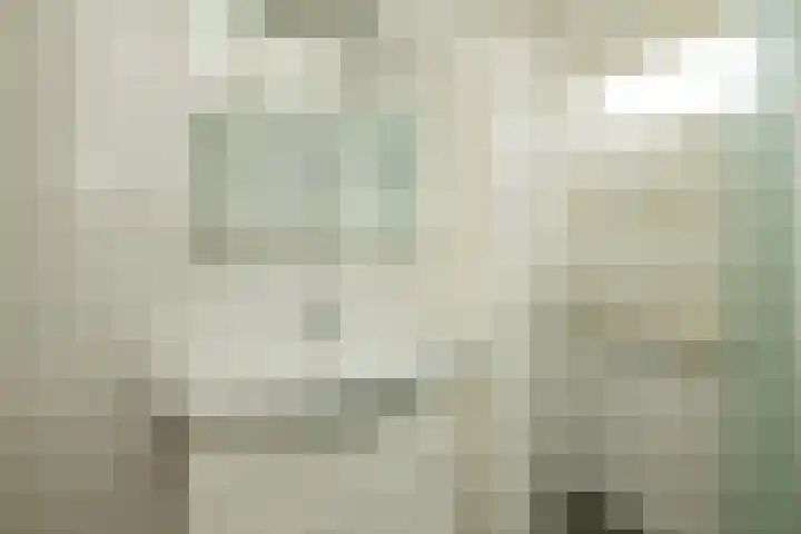 Roelsplantsoen 1 Wateringen thumbnail 20