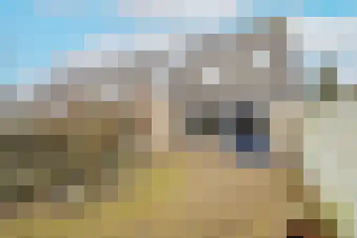 Roelsplantsoen 1 Wateringen thumbnail 29