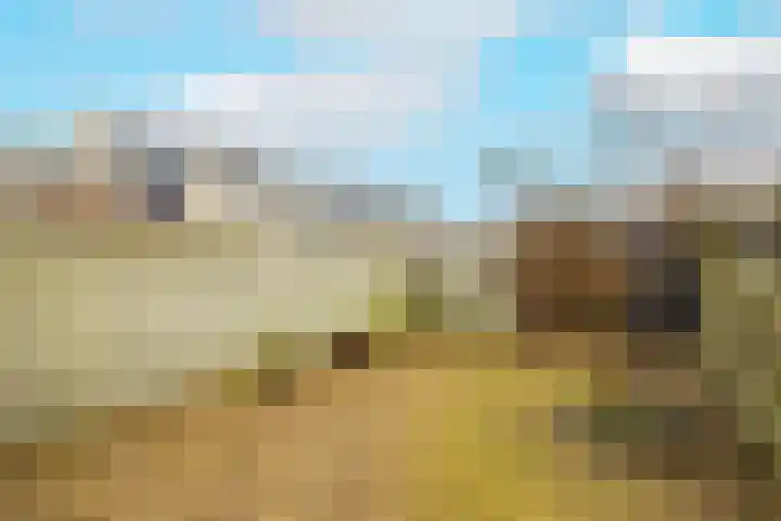 Roelsplantsoen 1 Wateringen thumbnail 30