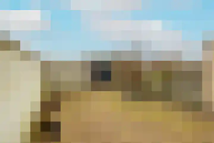 Roelsplantsoen 1 Wateringen thumbnail 31