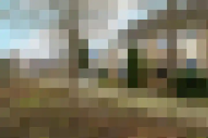 Roelsplantsoen 1 Wateringen thumbnail 34