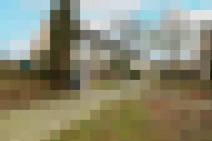 Roelsplantsoen 1 Wateringen thumbnail 35