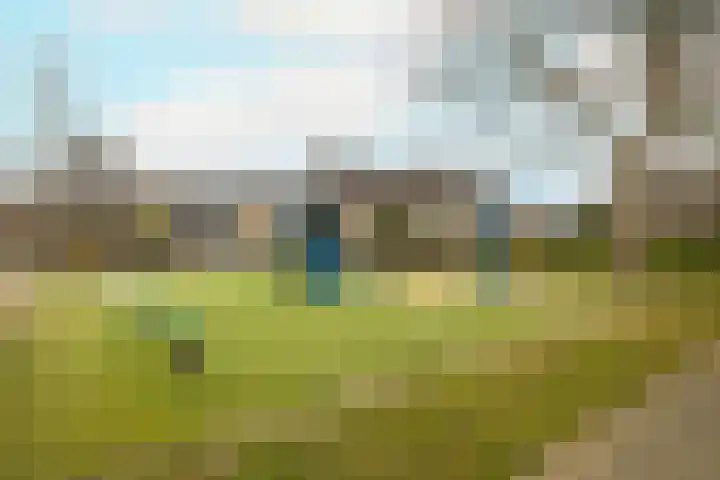 Roelsplantsoen 1 Wateringen thumbnail 40