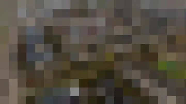 Roelsplantsoen 1 Wateringen thumbnail 41