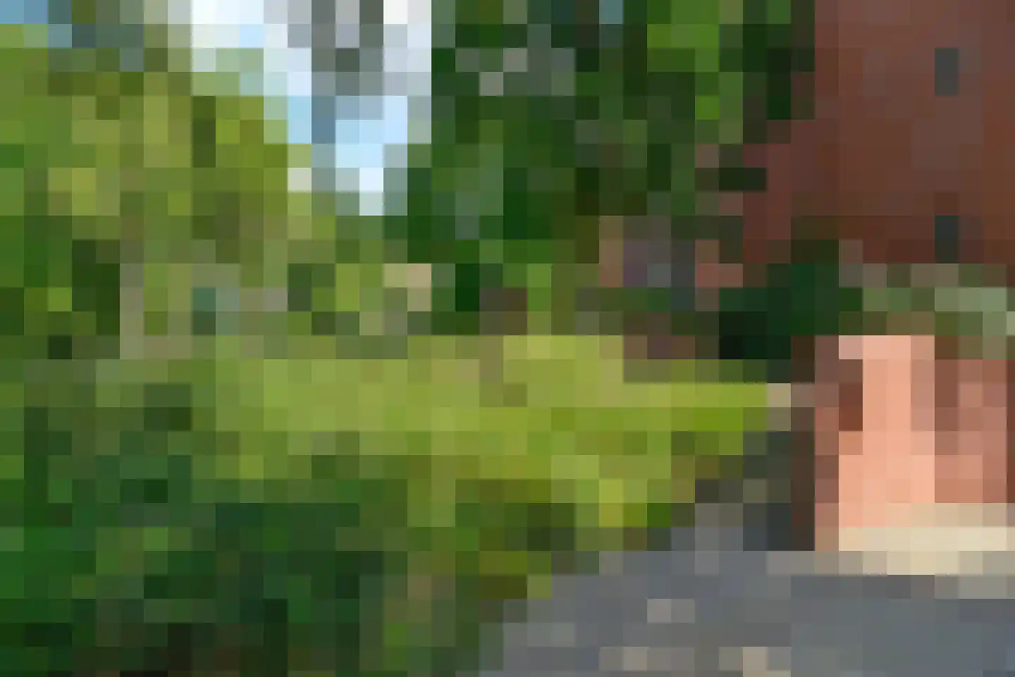 Roeltjesweg 1 11 Hilversum thumbnail 32
