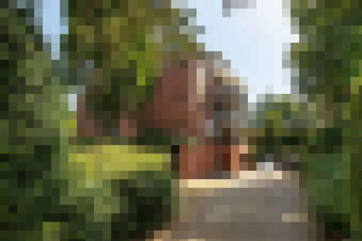 Roeltjesweg 1 7 Hilversum thumbnail 25