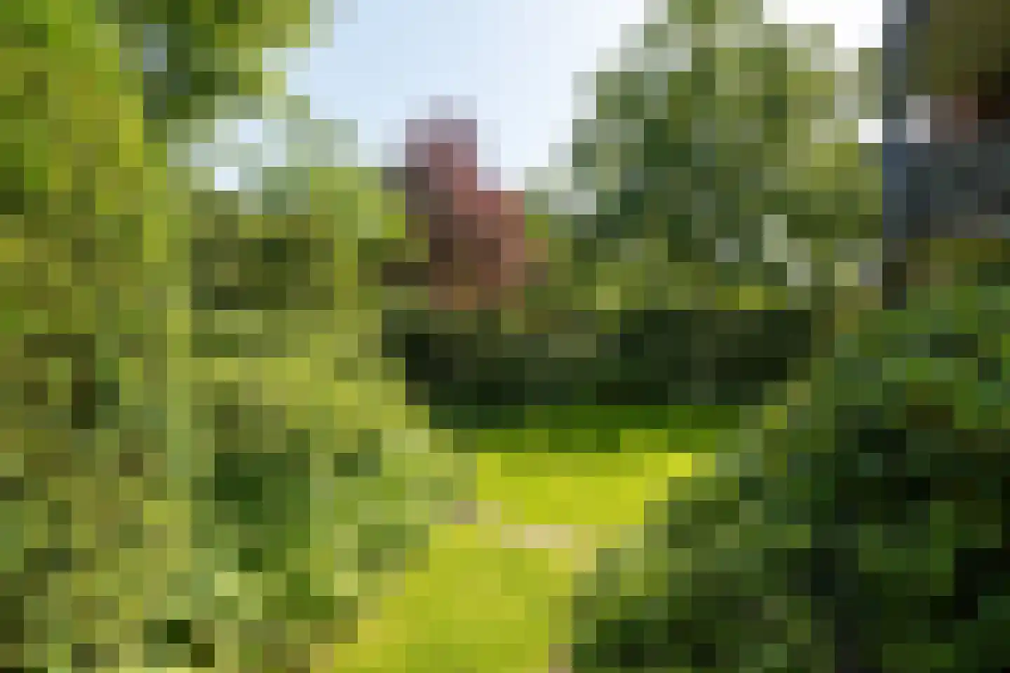 Roeltjesweg 1 7 Hilversum thumbnail 29