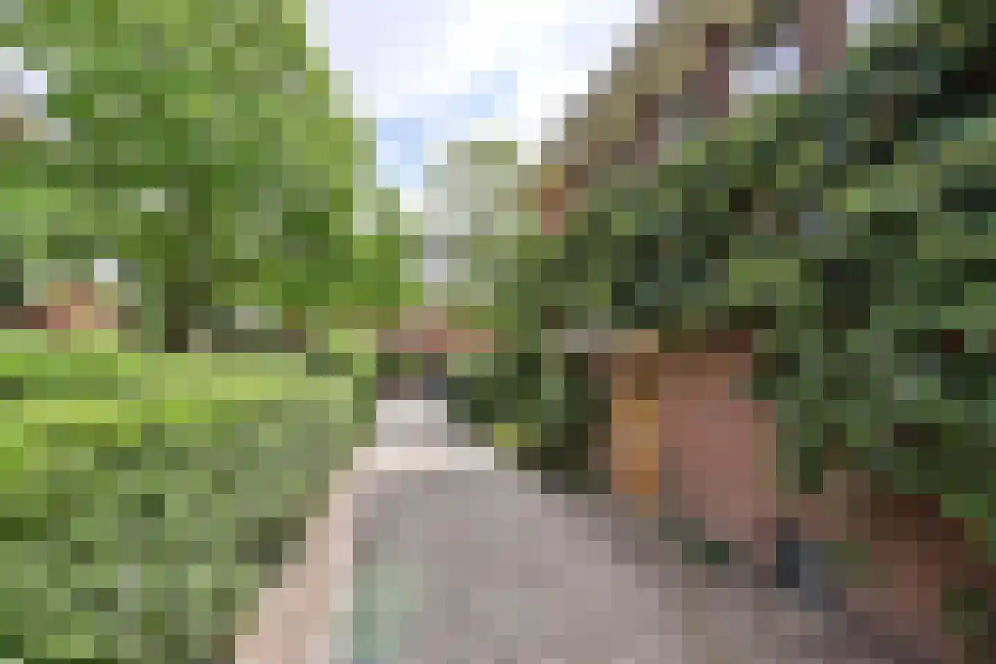 Roeltjesweg 12 Hilversum thumbnail 24