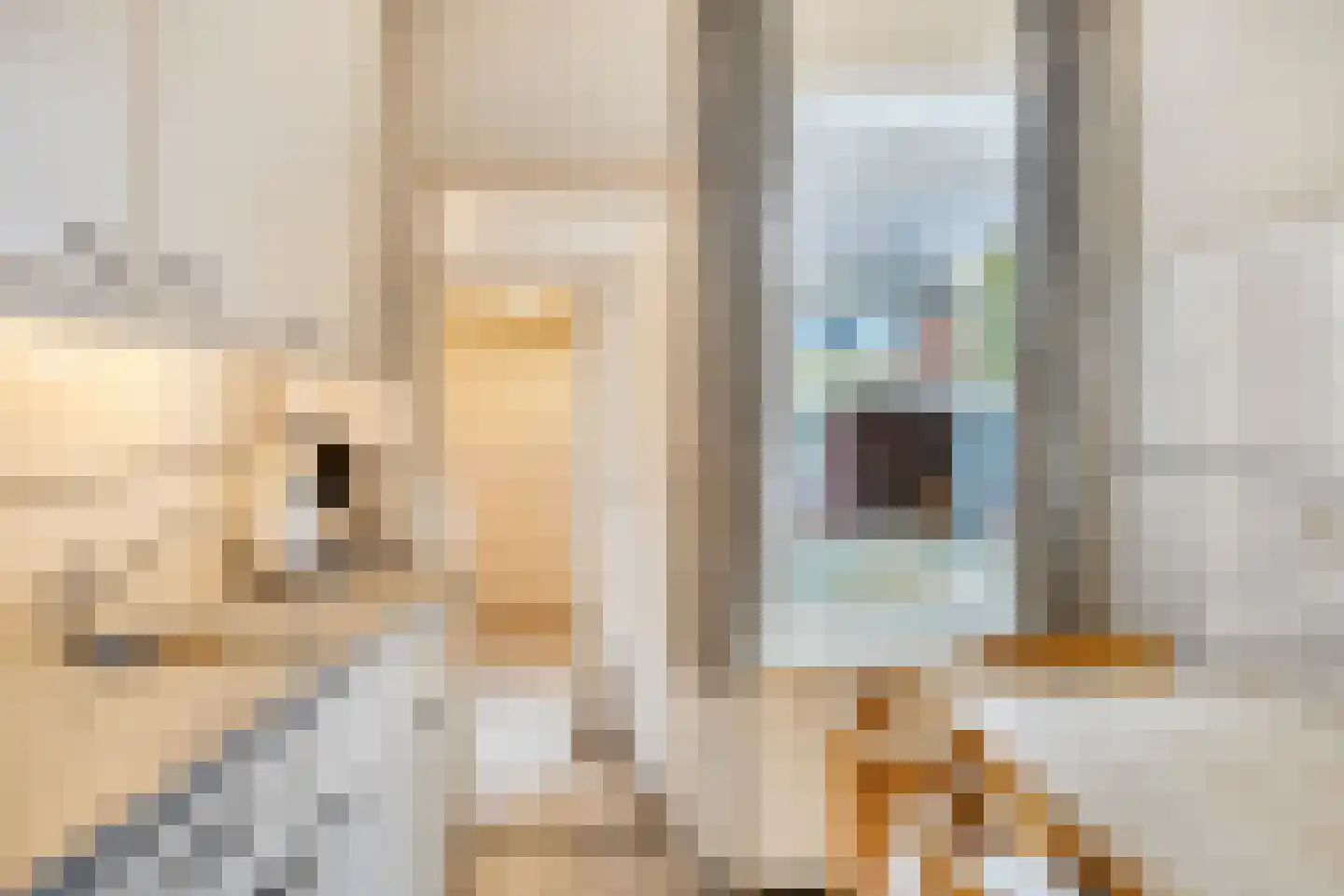Roelvinkstraat 4 Bredevoort thumbnail 10