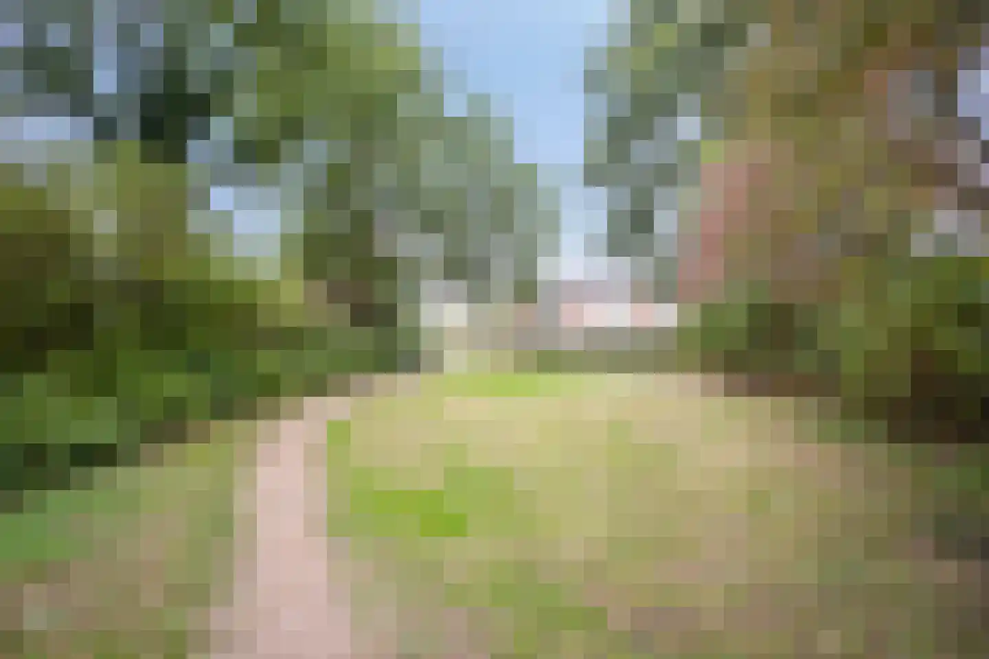Roelvinkstraat 4 Bredevoort thumbnail 32
