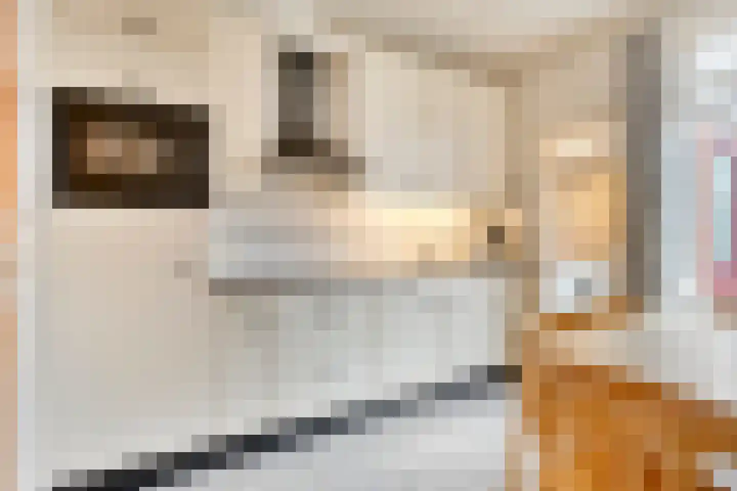 Roelvinkstraat 4 Bredevoort thumbnail 9