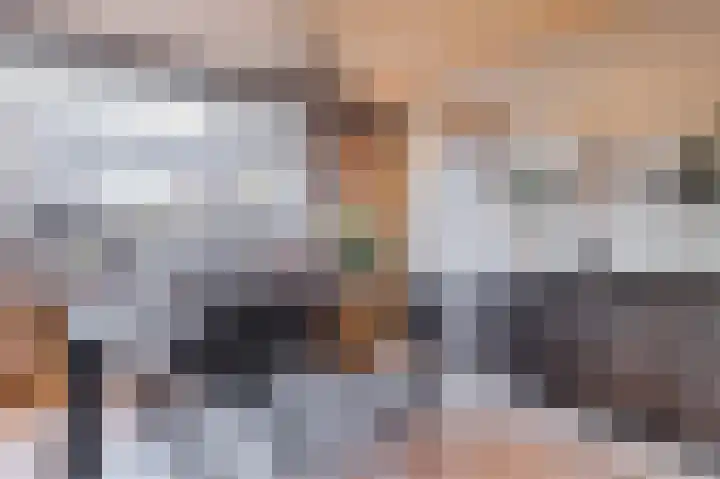 Roelvinkstraat 6 Bredevoort thumbnail 11