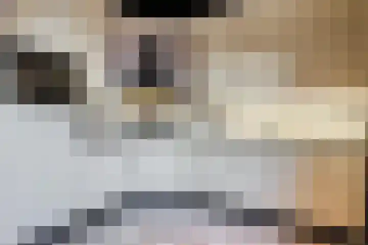 Roelvinkstraat 6 Bredevoort thumbnail 16
