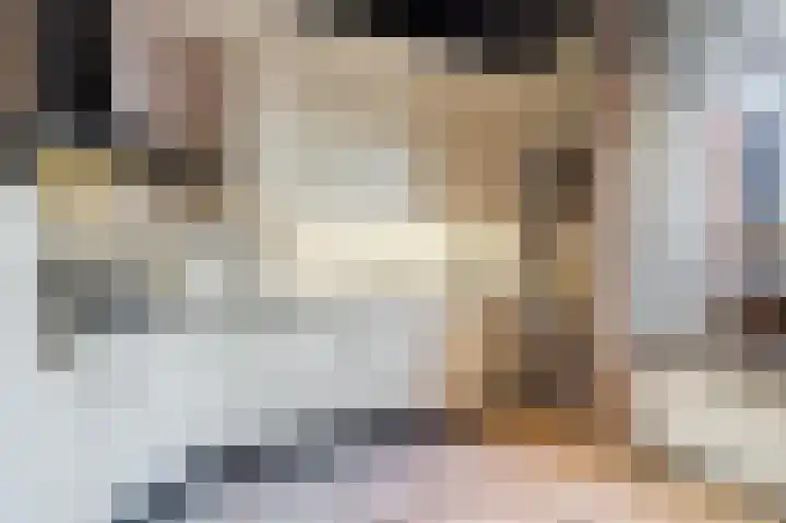 Roelvinkstraat 6 Bredevoort thumbnail 17