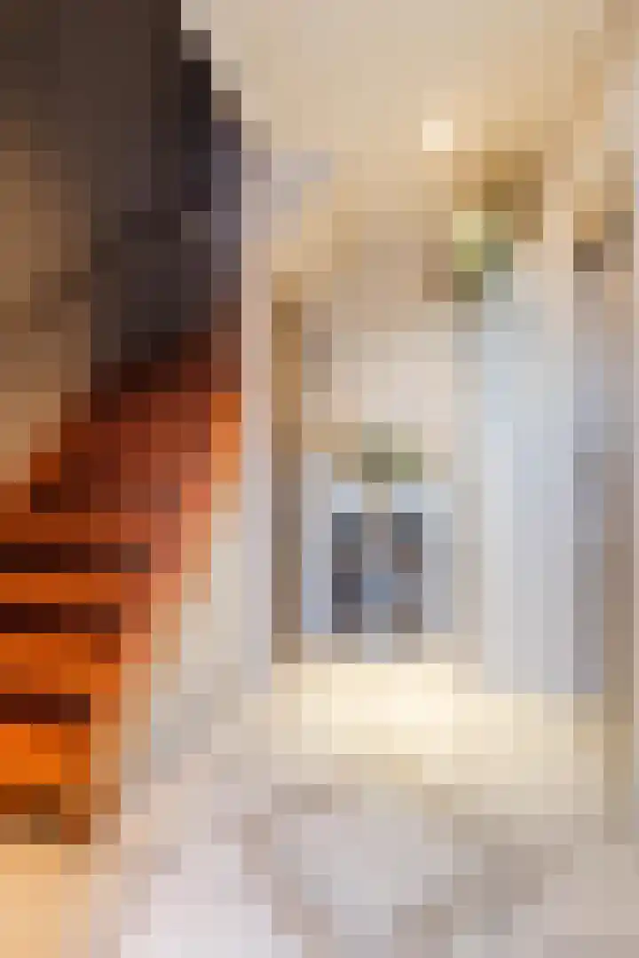 Roelvinkstraat 6 Bredevoort thumbnail 25