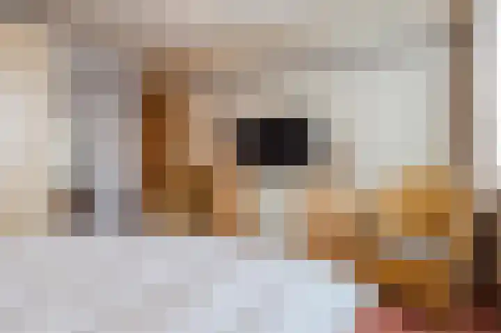 Roelvinkstraat 6 Bredevoort thumbnail 31