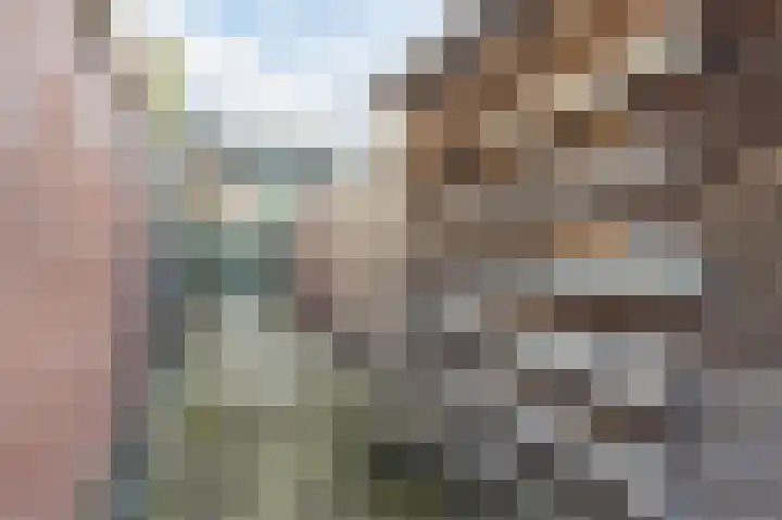 Roelvinkstraat 6 Bredevoort thumbnail 51