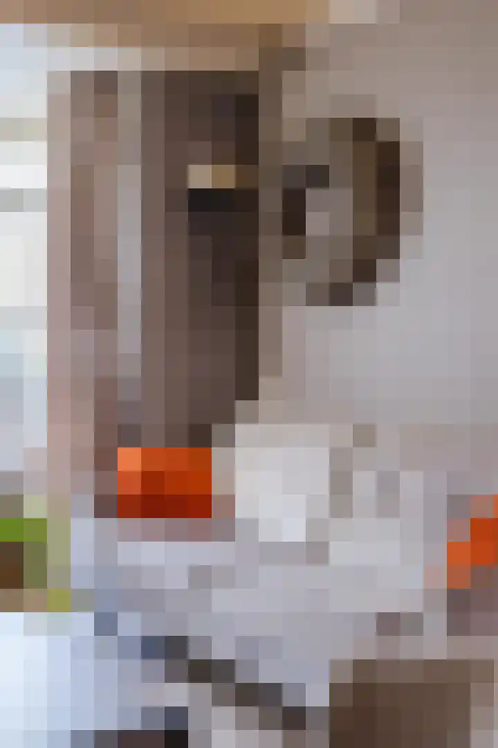 Roelvinkstraat 6 Bredevoort thumbnail 7