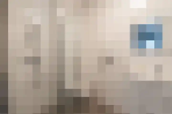 Roem van Altena 12 Andel thumbnail 23