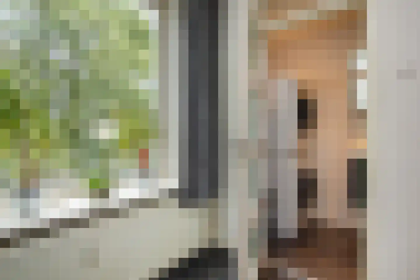 Roemeniëpad 20 Haarlem thumbnail 15