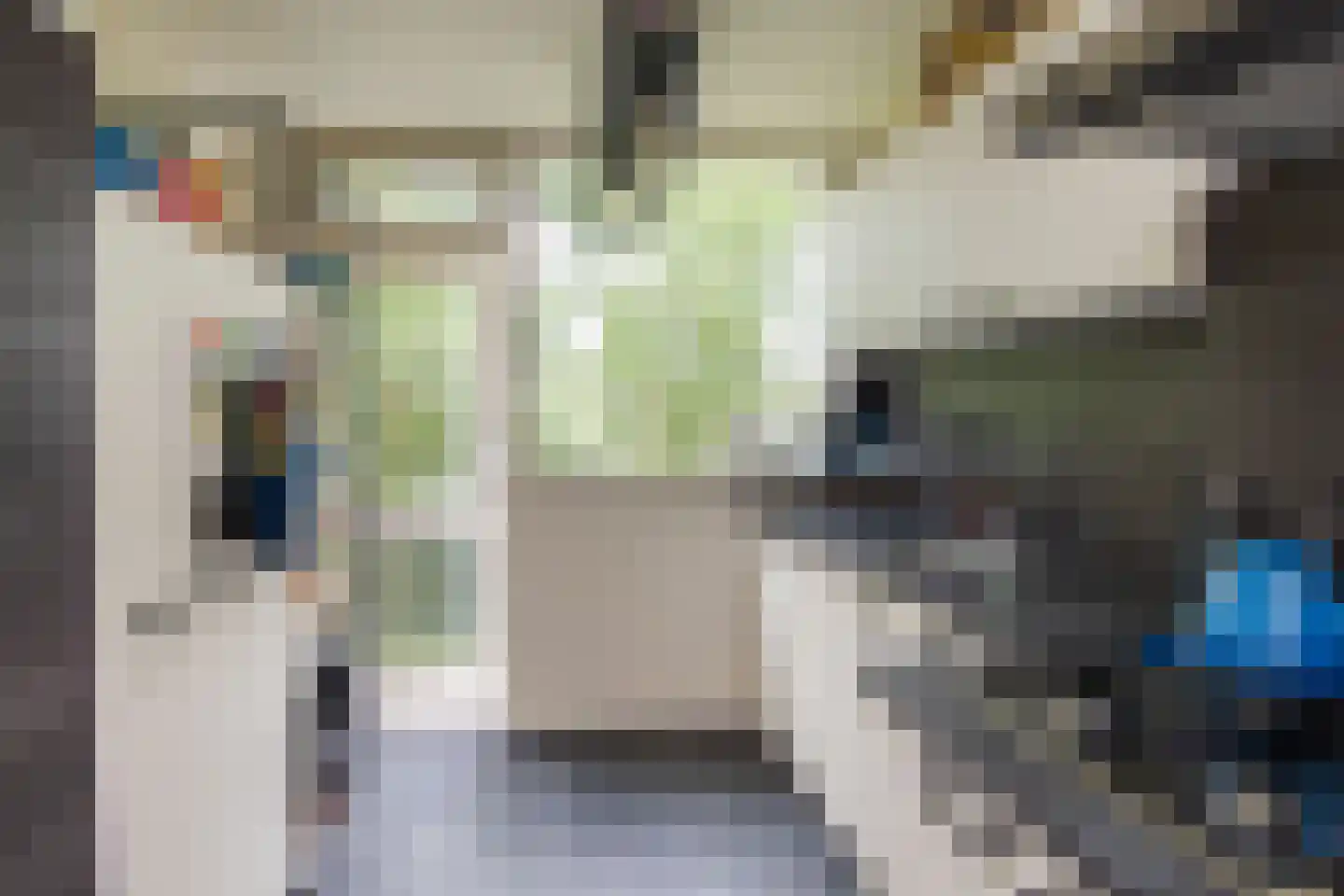 Roemeniëpad 20 Haarlem thumbnail 18