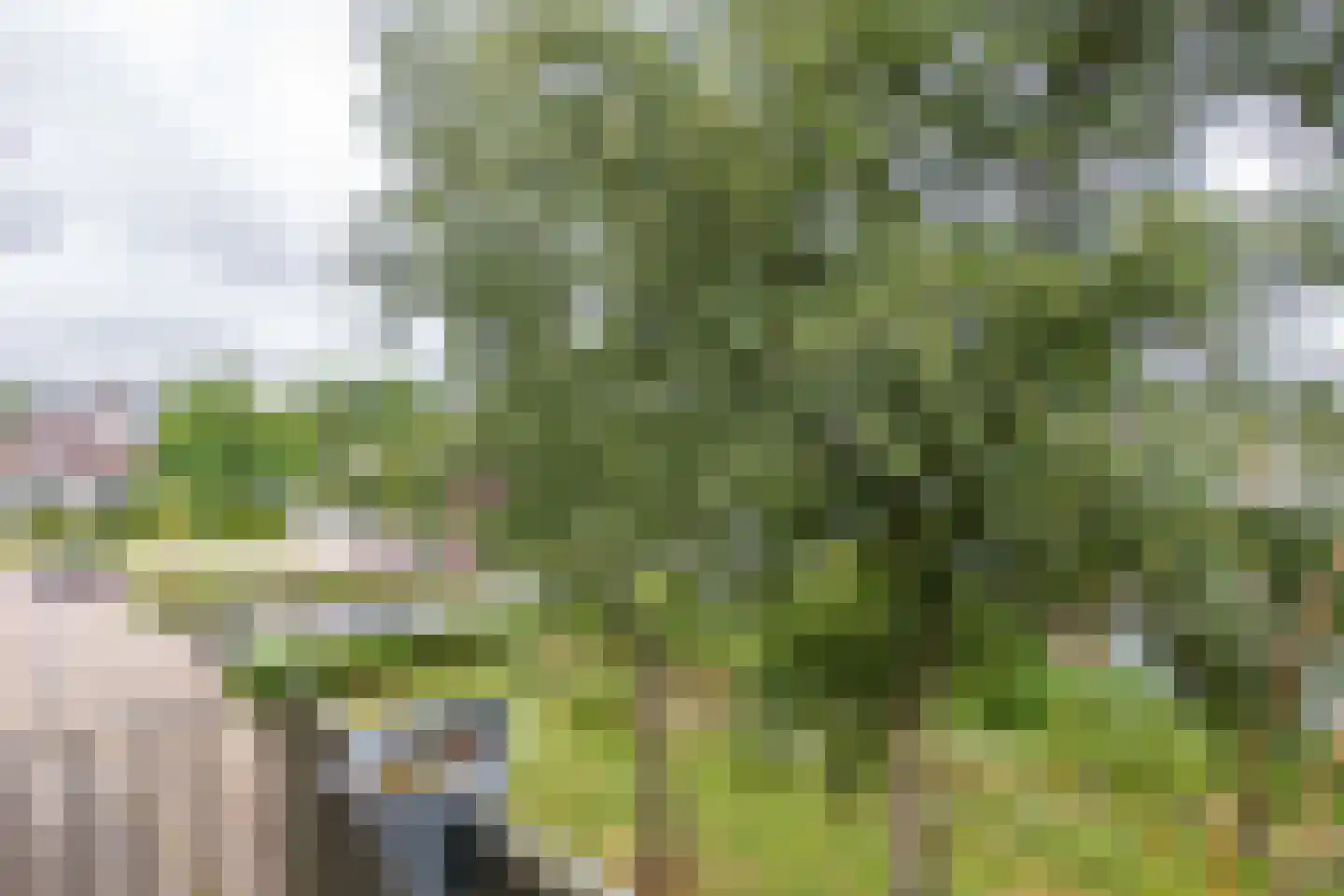 Roemeniëpad 20 Haarlem thumbnail 20