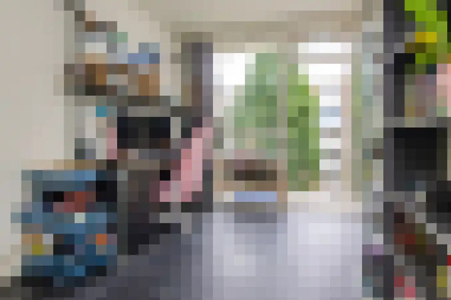 Roemeniëpad 20 Haarlem thumbnail 22