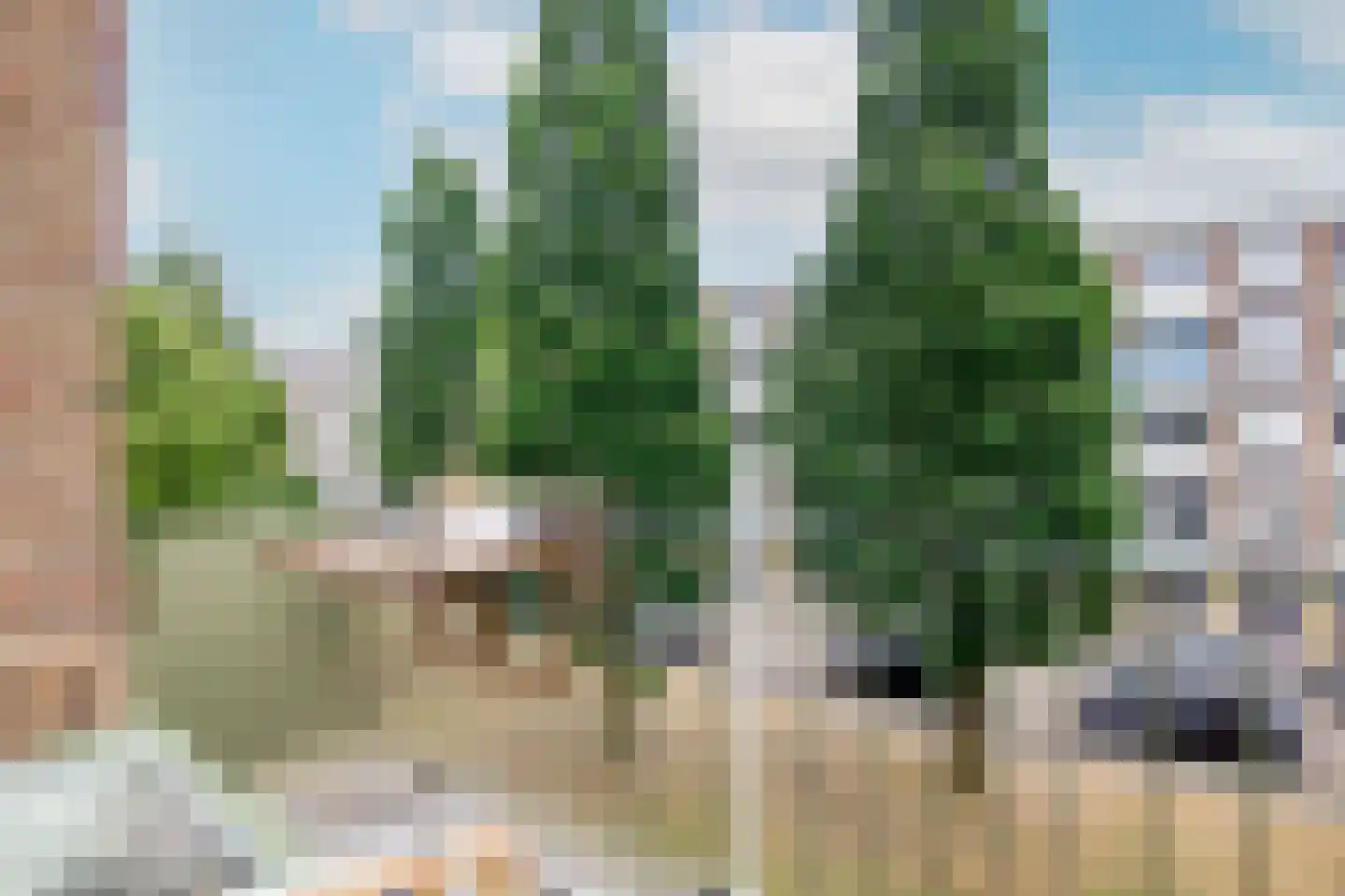 Roemeniëpad 20 Haarlem thumbnail 24
