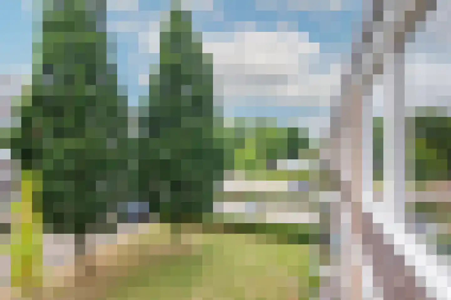 Roemeniëpad 20 Haarlem thumbnail 25