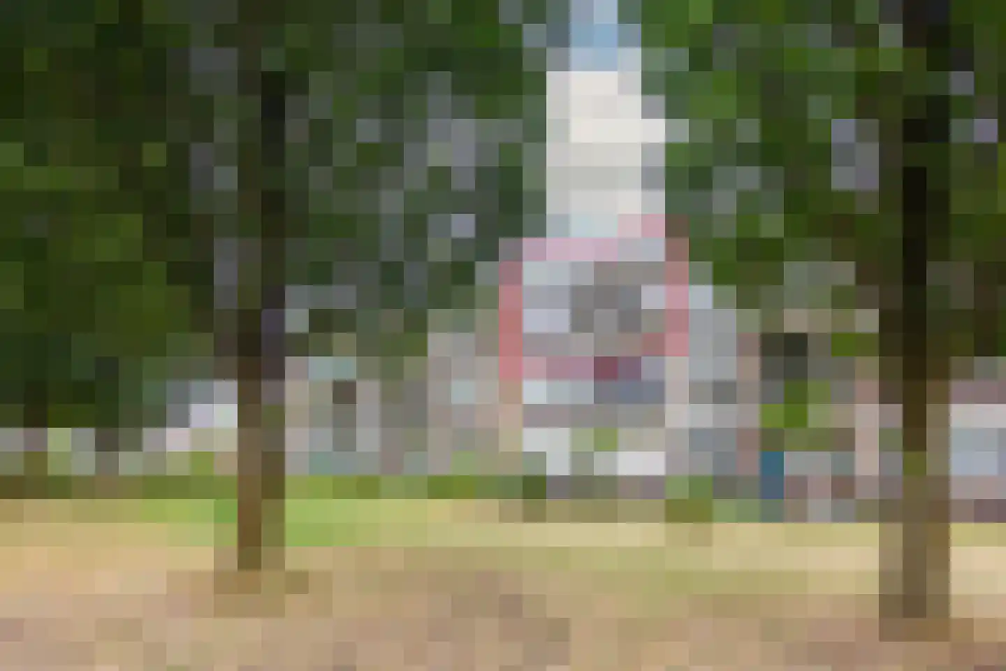 Roemeniëpad 20 Haarlem thumbnail 26