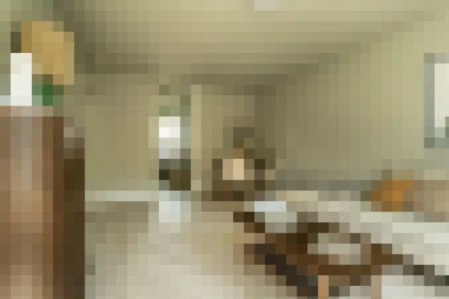 Roemeniëpad 24 Haarlem thumbnail 10