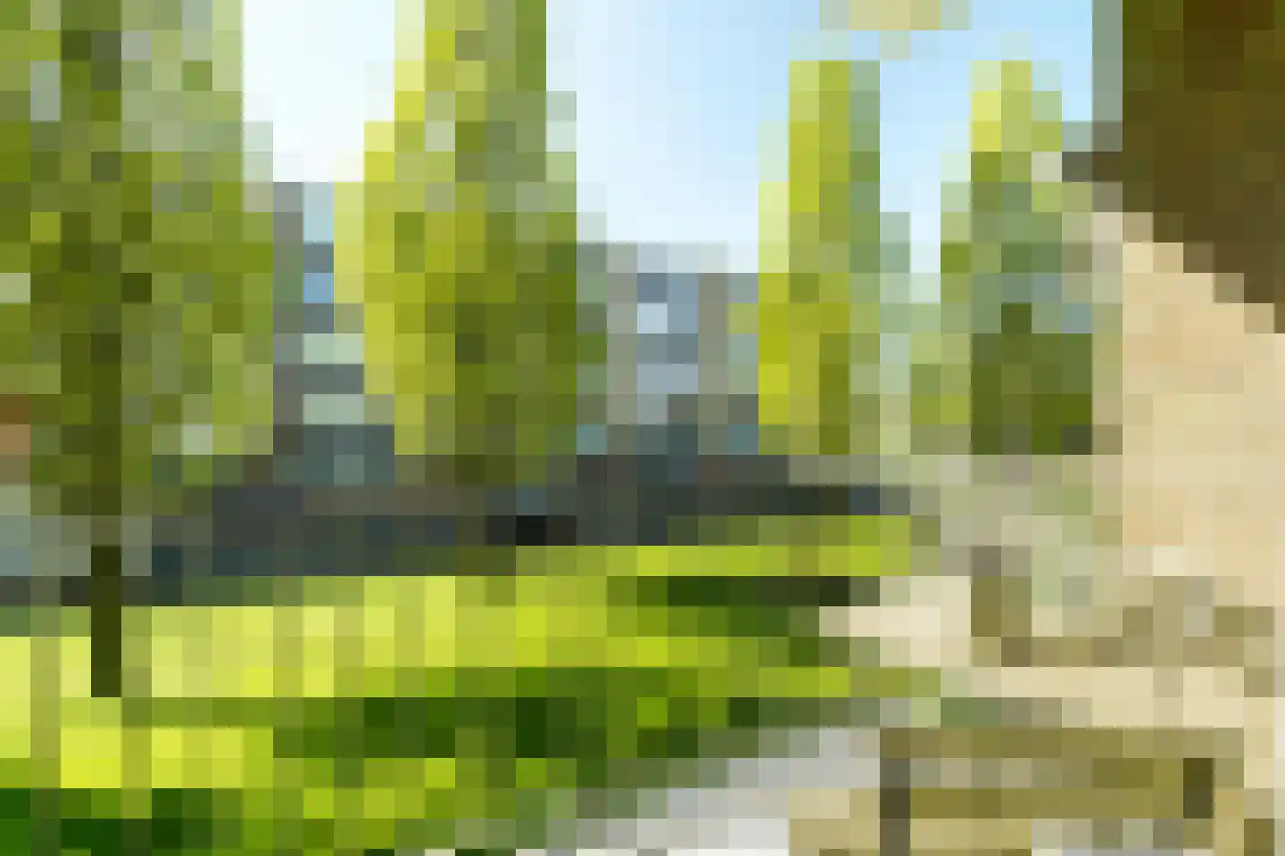 Roemeniëpad 24 Haarlem thumbnail 13