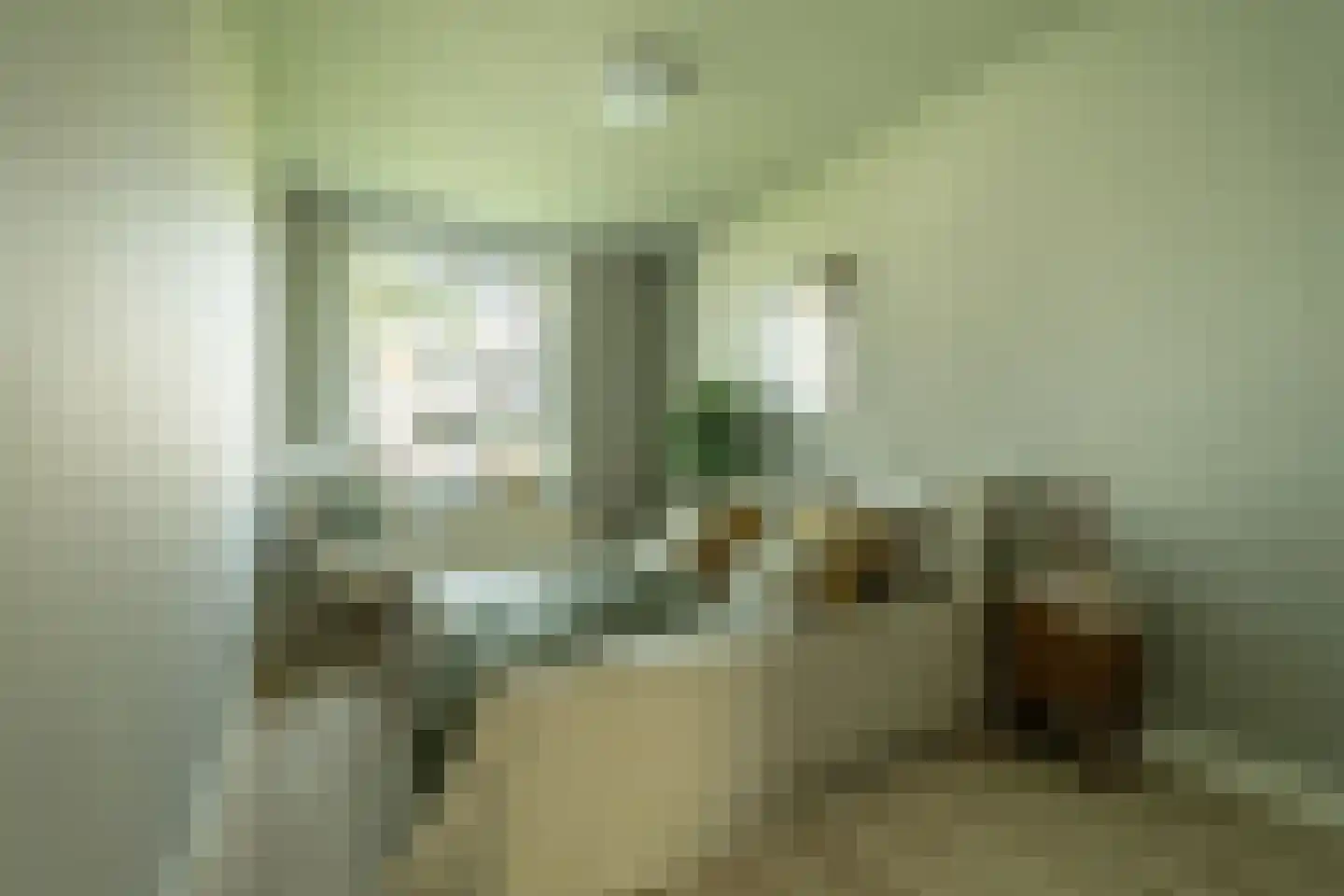 Roemeniëpad 24 Haarlem thumbnail 15