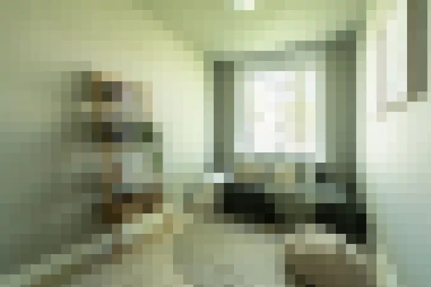 Roemeniëpad 24 Haarlem thumbnail 17