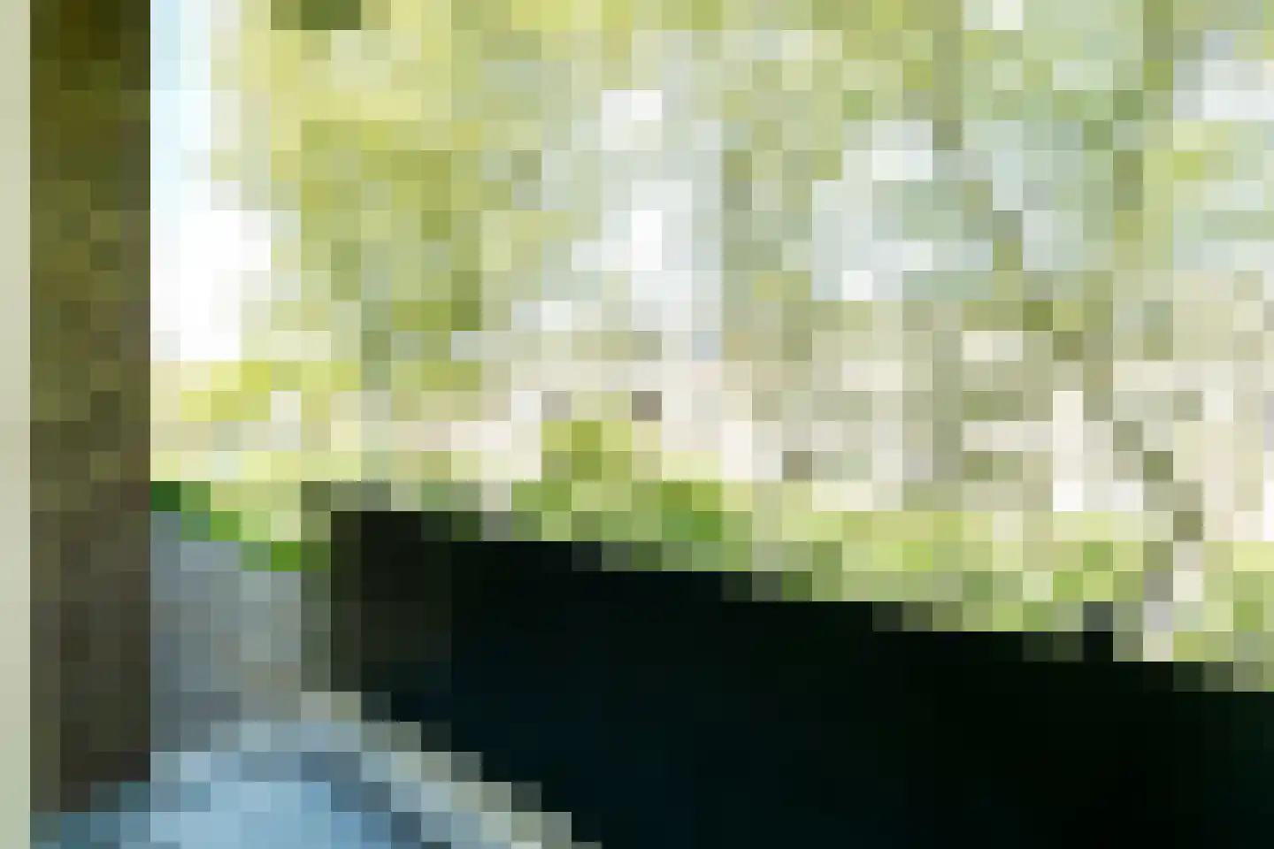 Roemeniëpad 24 Haarlem thumbnail 20