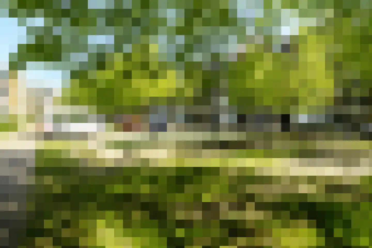 Roemeniëpad 24 Haarlem thumbnail 22