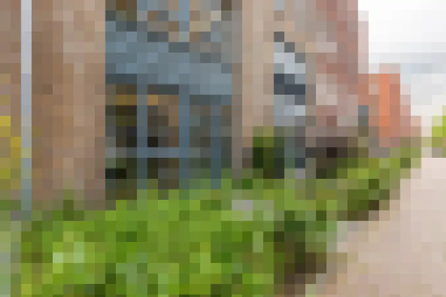 Roemeniëstraat 87 Almere thumbnail 4