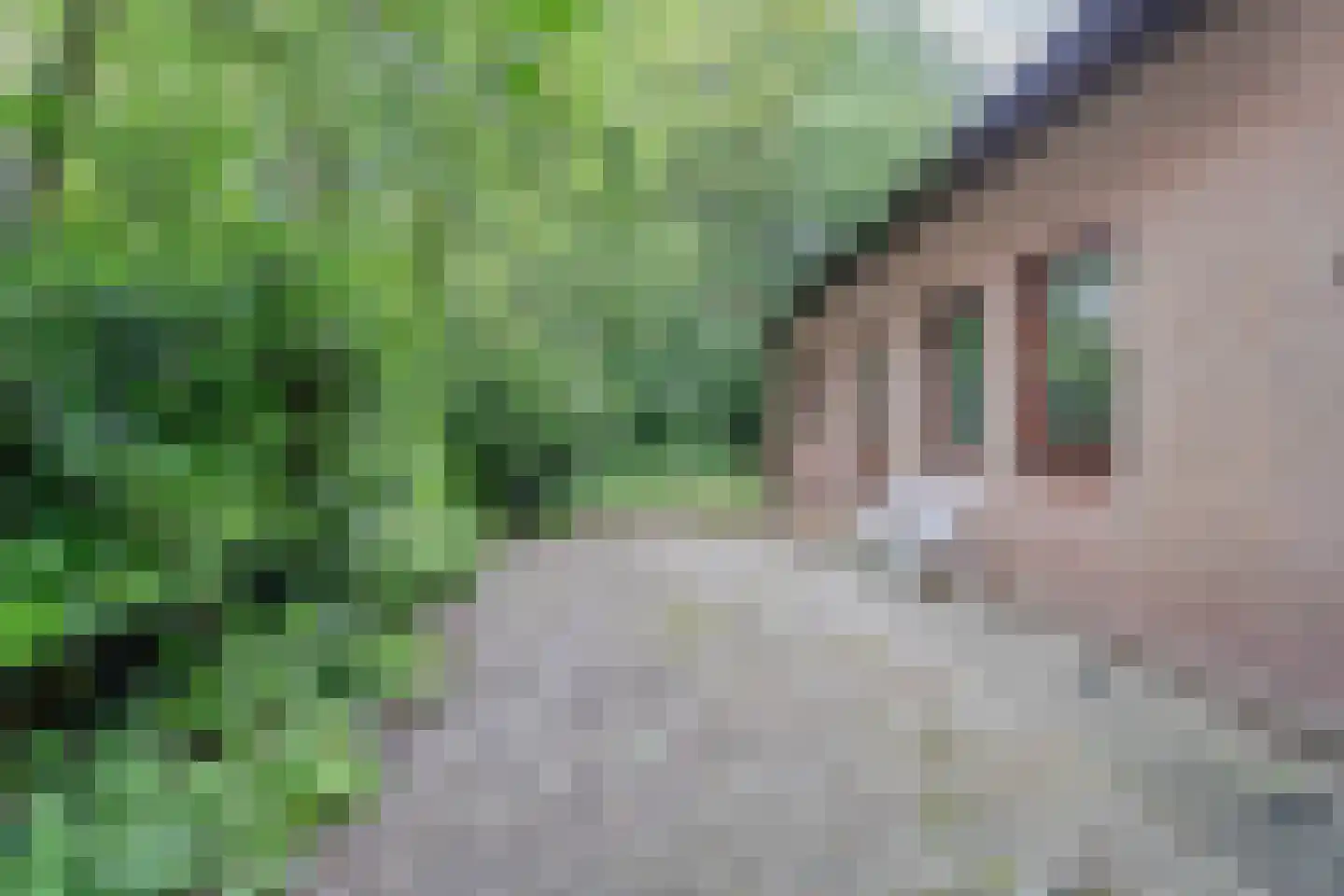 Roemer 1 Hazerswoude-Dorp thumbnail 12