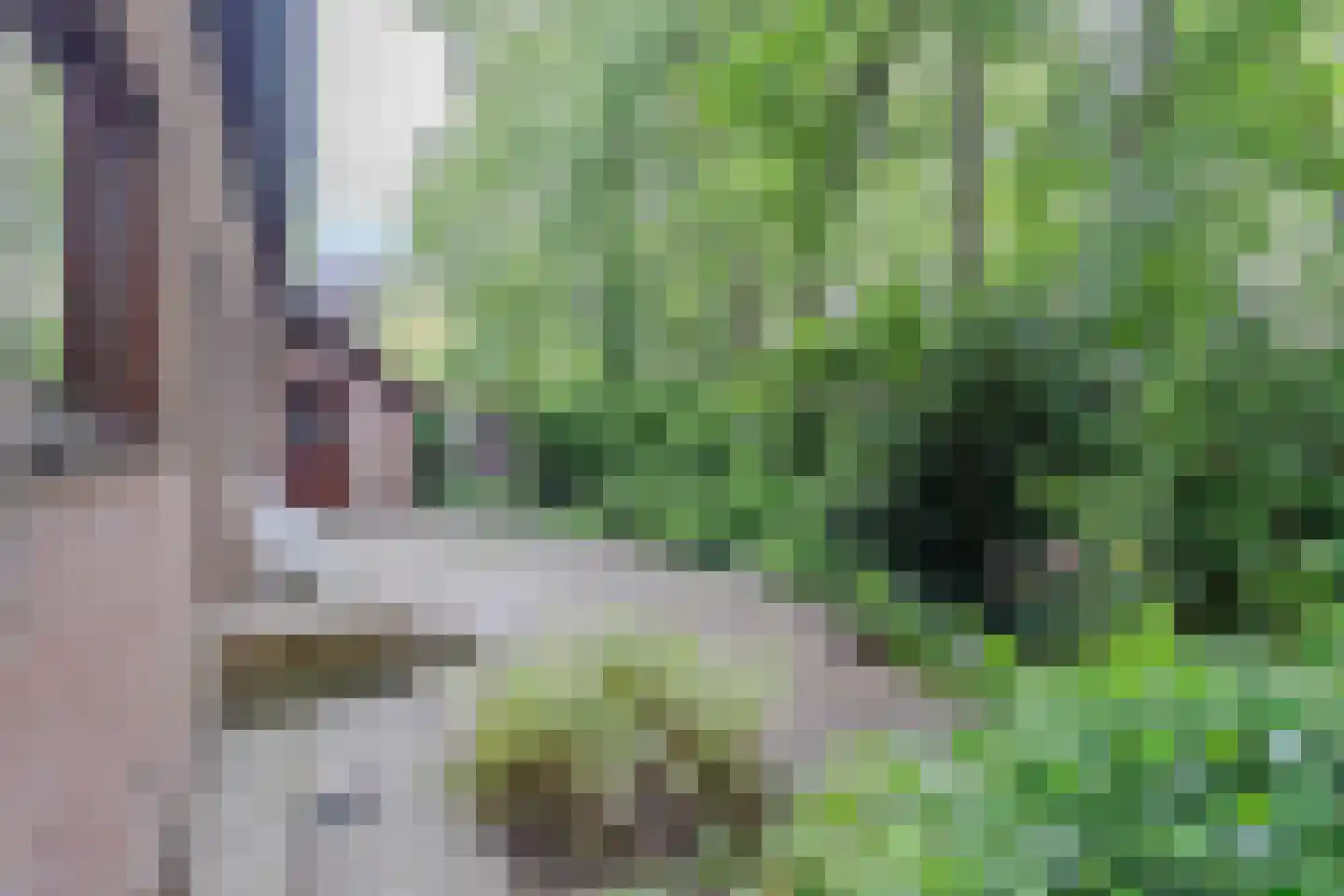 Roemer 1 Hazerswoude-Dorp thumbnail 13