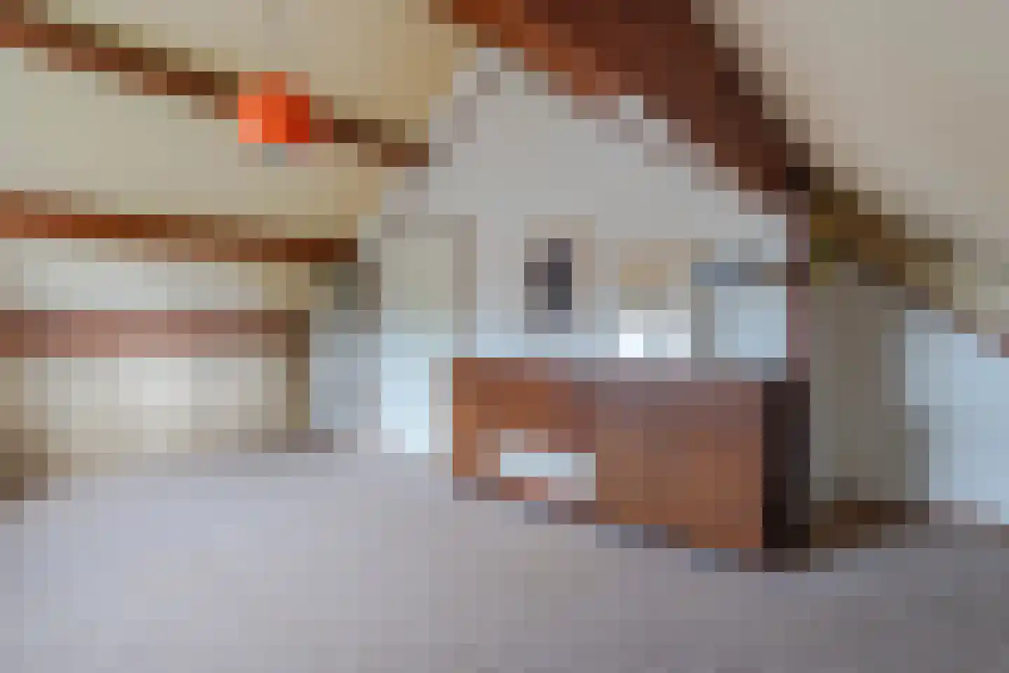 Roemer 1 Hazerswoude-Dorp thumbnail 27