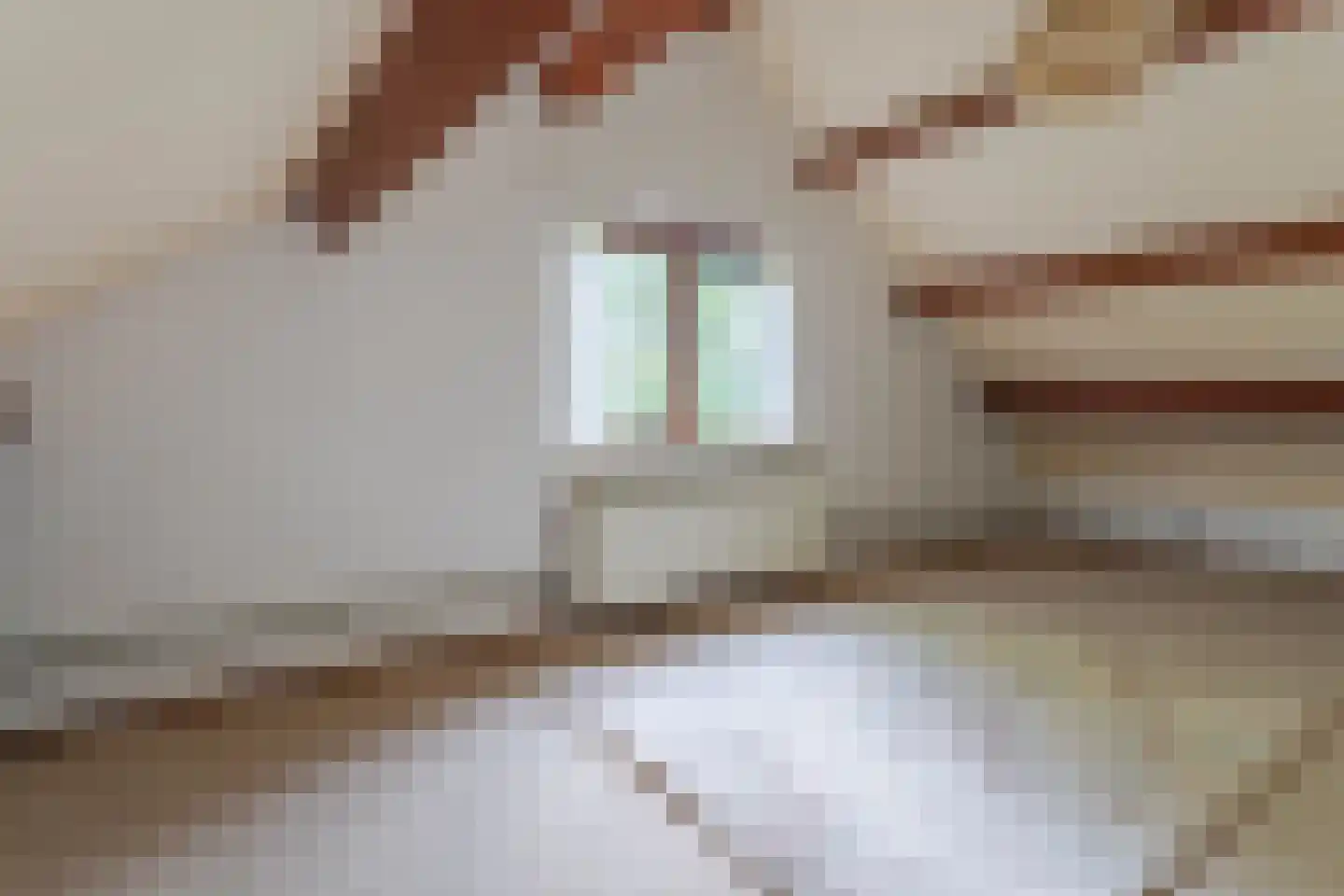 Roemer 1 Hazerswoude-Dorp thumbnail 28