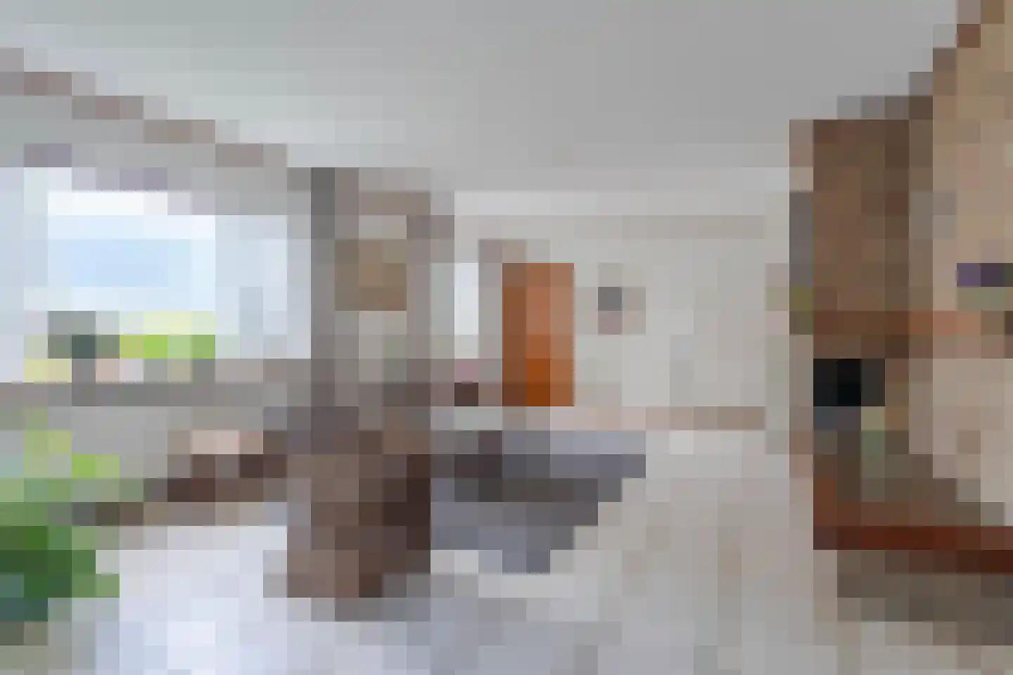 Roemer 1 Hazerswoude-Dorp thumbnail 4