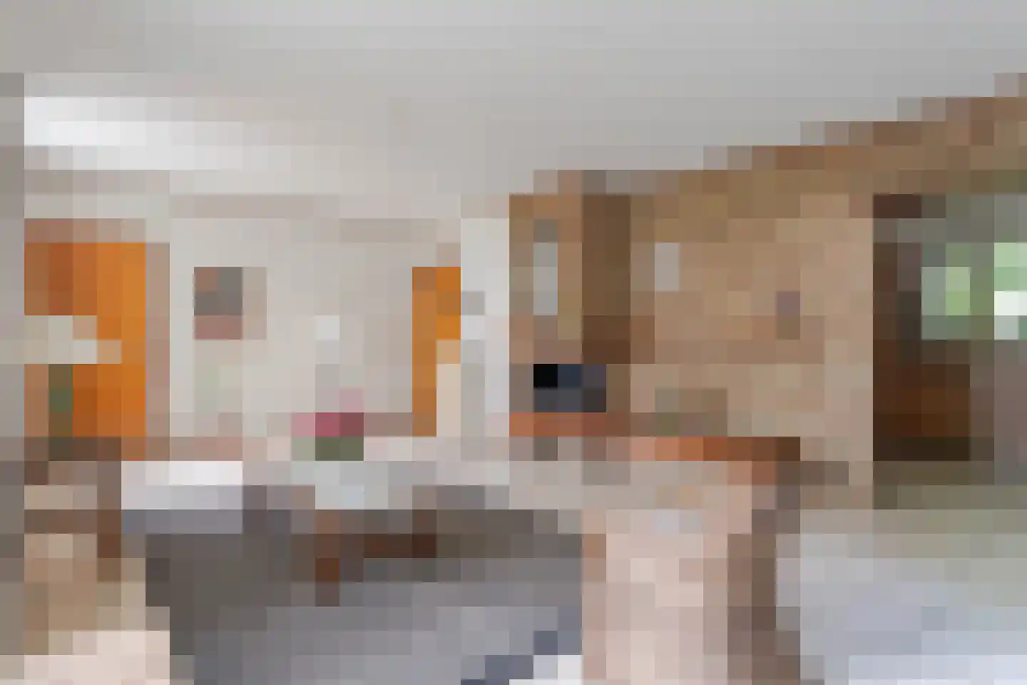 Roemer 1 Hazerswoude-Dorp thumbnail 5