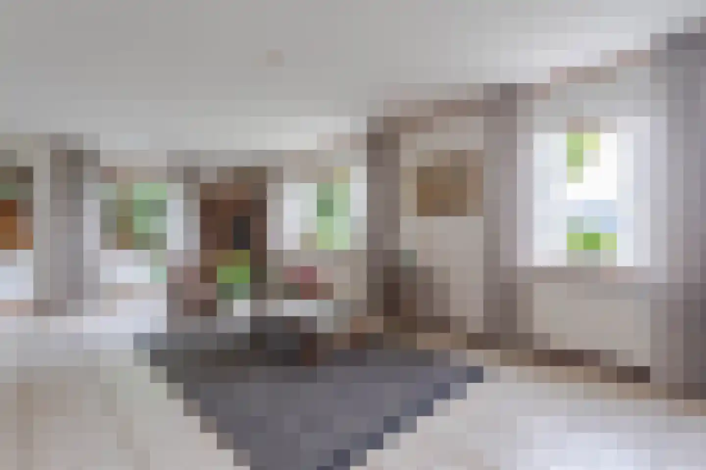 Roemer 1 Hazerswoude-Dorp thumbnail 6