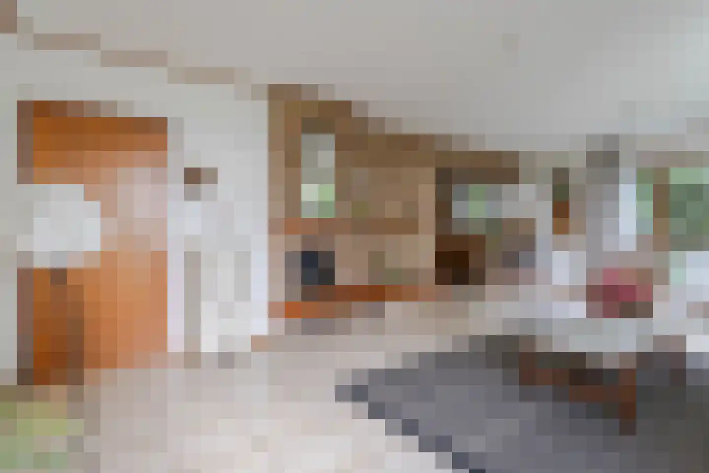 Roemer 1 Hazerswoude-Dorp thumbnail 7