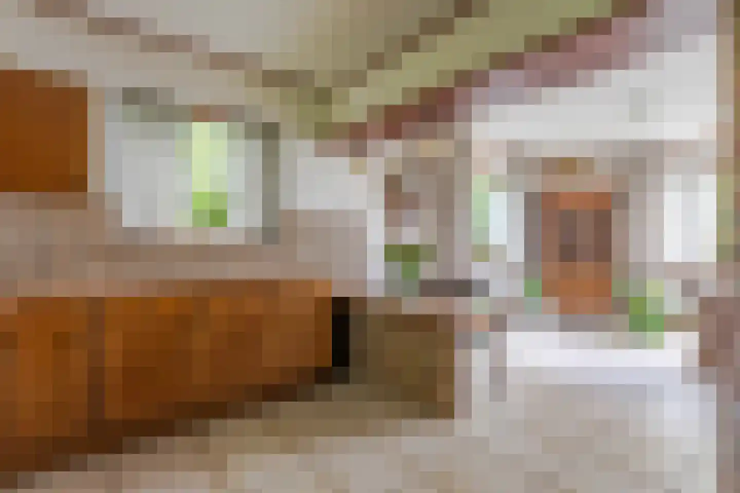 Roemer 1 Hazerswoude-Dorp thumbnail 8