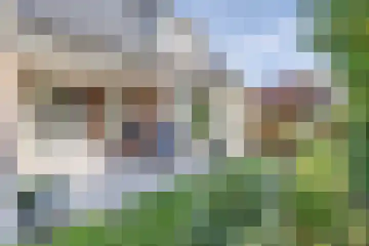 Roemer 23 Hazerswoude-Dorp thumbnail 22