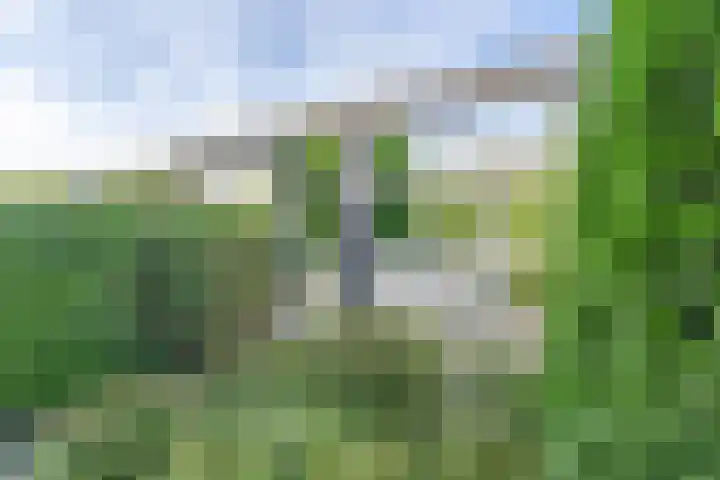 Roemer 23 Hazerswoude-Dorp thumbnail 23