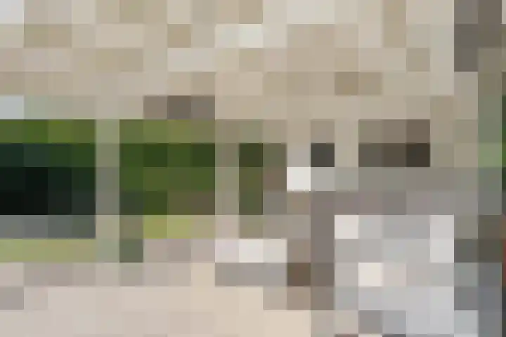 Roemer 23 Hazerswoude-Dorp thumbnail 28